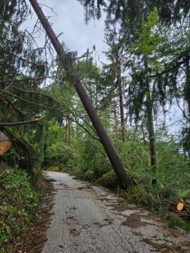 Vremenske razmere v občini Kamnik do 11. ure  (1)